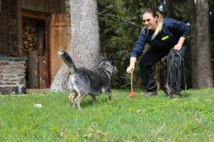 2018 Ausbildungswoche Arber